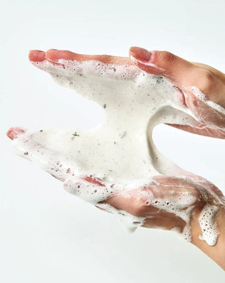 Pore Deep Cleansing Foam ANUA