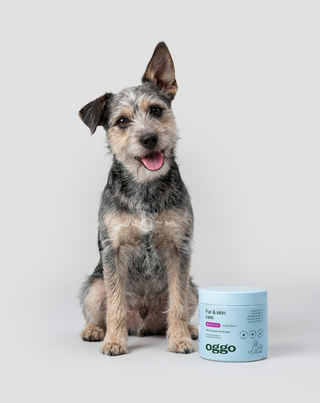 Fur & skin ergänzungskarma für hunde für schönes fell und gesunde haut Oggo 180 g - 2