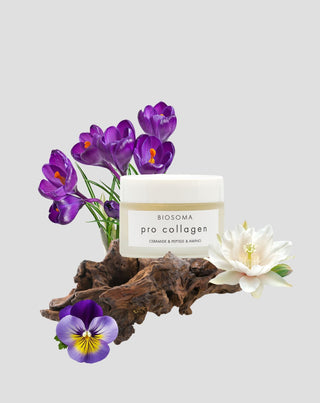 Straffende Gesichtscreme PRO COLLAGEN Ceramide & Peptide Biosoma
