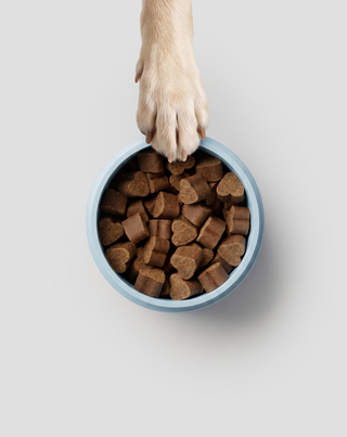Fur & skin ergänzungskarma für hunde für schönes fell und gesunde haut Oggo 180 g - 5