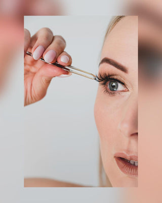 Falsche Wimpern auf dem 2D-Streifen für den mehrfachen Gebrauch Scrumptious Look Bamm!Lashes