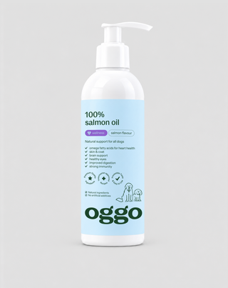 Lachsöl für Hunde Omega-3 EPA und DHA für Herz, Gehirn und Immunsystem Oggo 250 ml