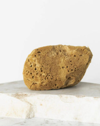 Natürlicher Meeresschwamm braun 9,5 cm 02F hypoallergen und antibakteriell Hhuumm - 2